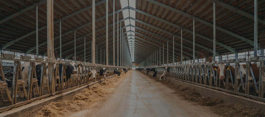 Animali protetti con l’impianto BioNeem